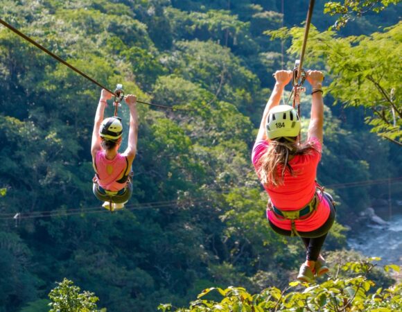 Zip Line