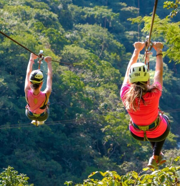 Zip Line