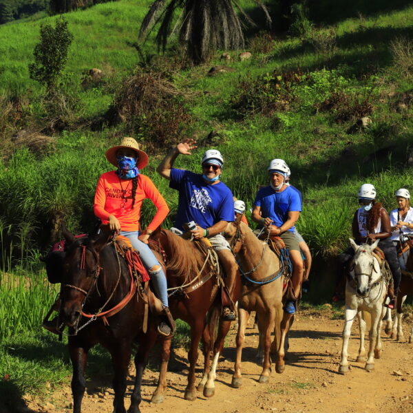 Horseback Riding Tour