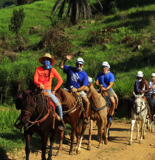 Horseback Riding Tour